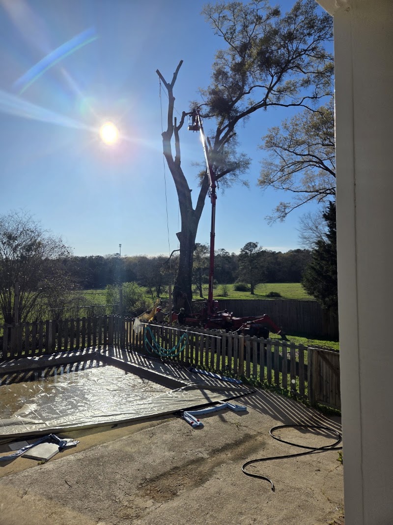 ACE Tree Service