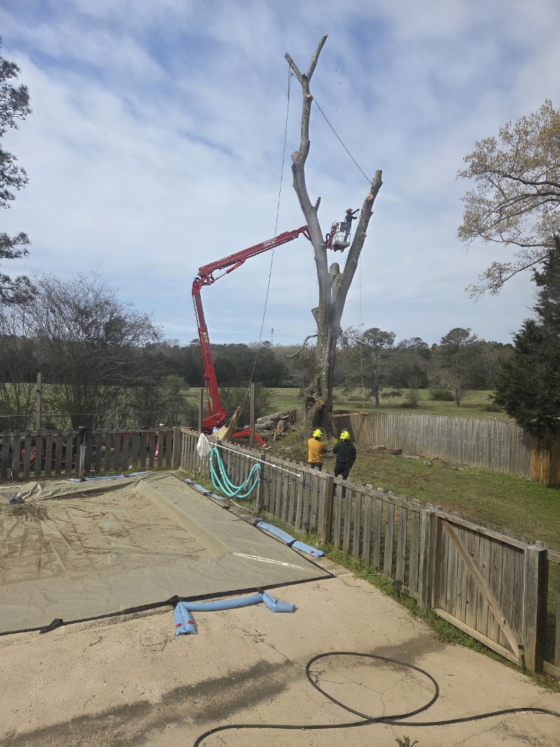 ACE Tree Service