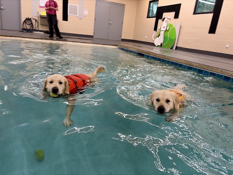Walks And Wags, Inc