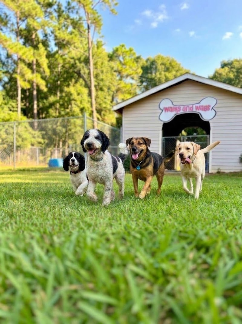 Walks And Wags, Inc
