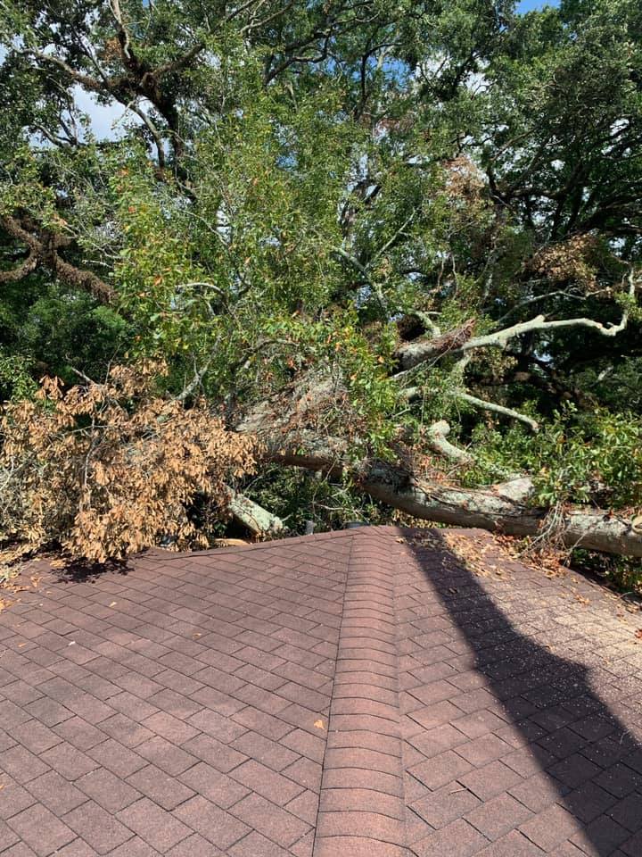Cain's Tree Service