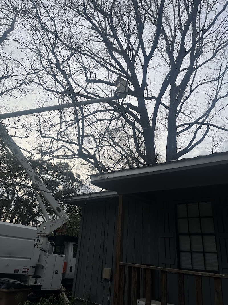 Cain's Tree Service