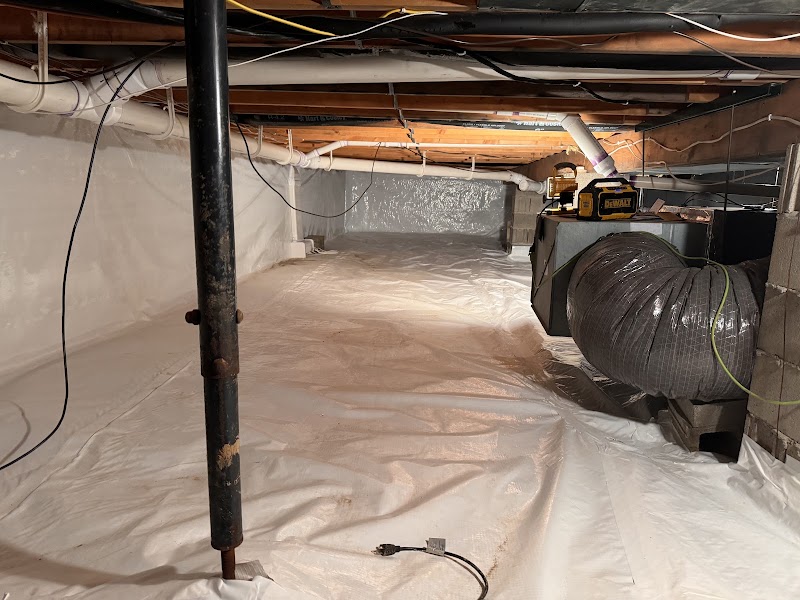 Mold Doctor Pros