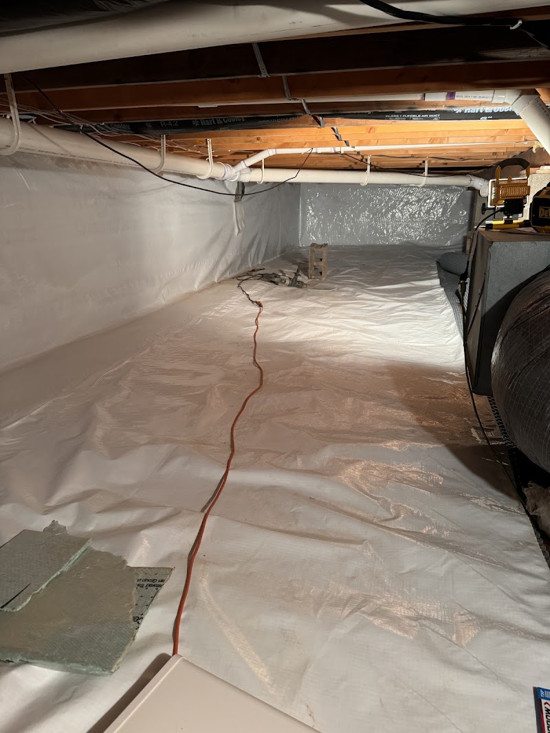 Mold Doctor Pros