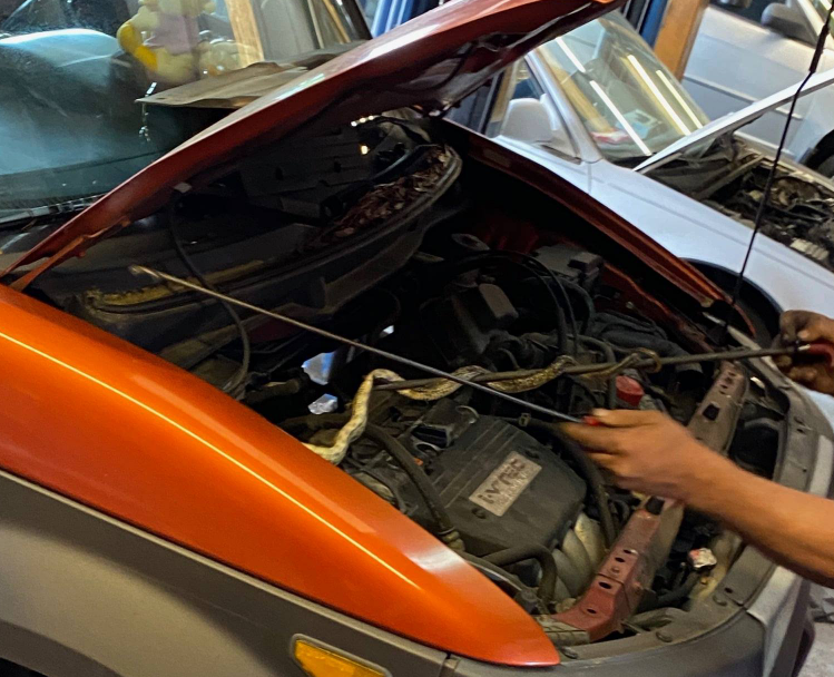 Rester's Auto, Inc.