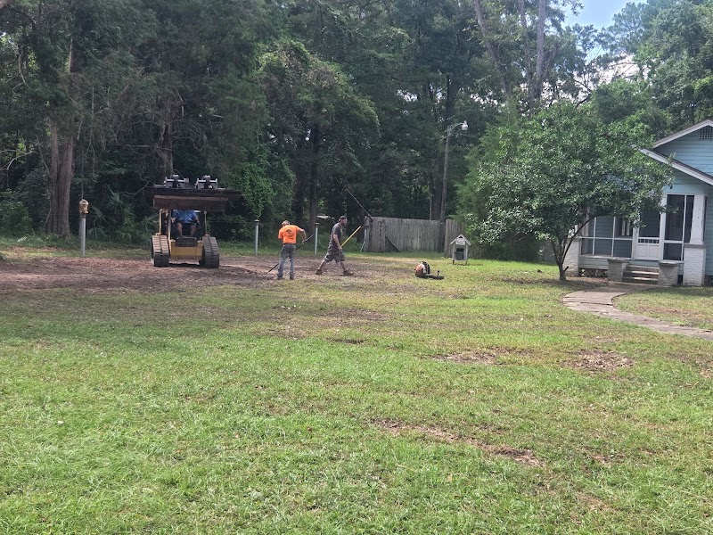 Alabama Tree Surgeons