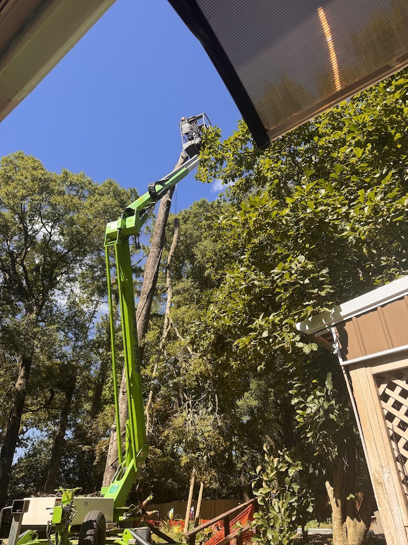 Alabama Tree Surgeons