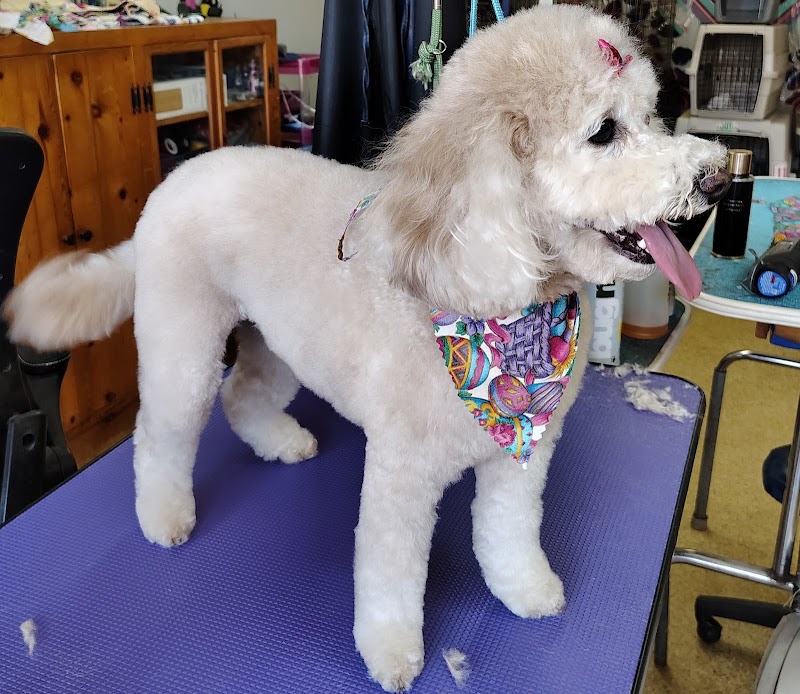 Dana & Friends Pet Grooming