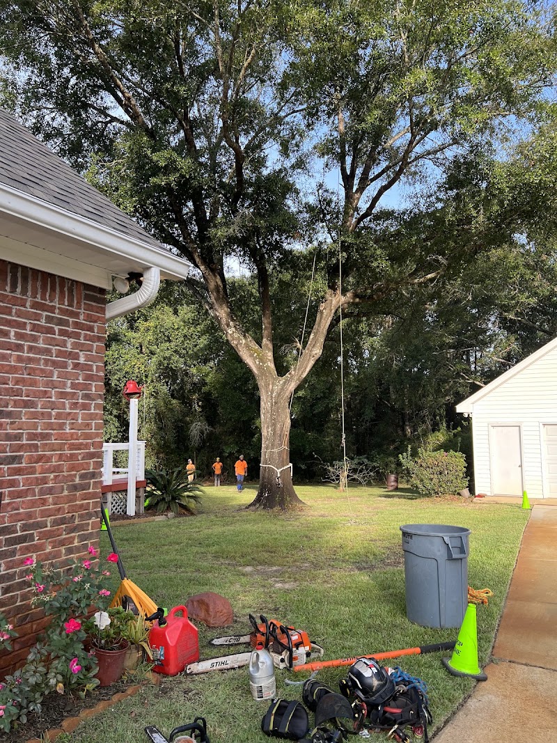 B's Tree Service