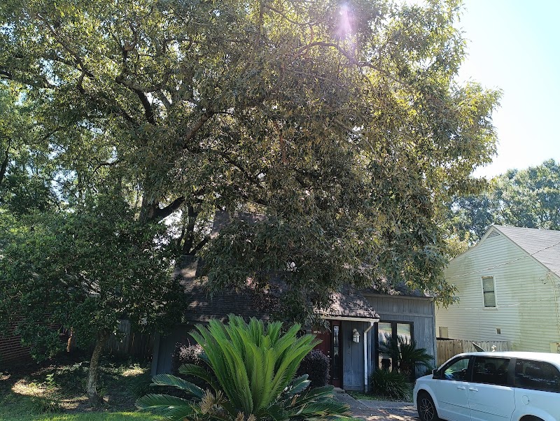 B's Tree Service