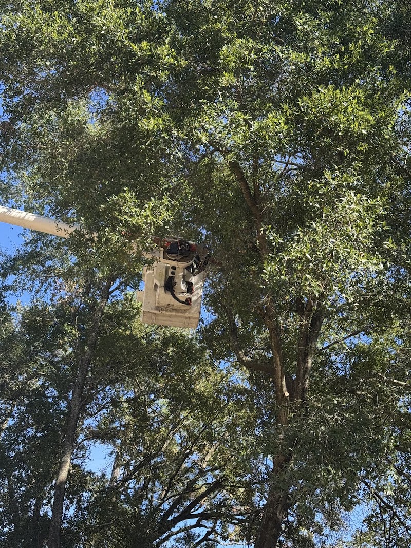 B's Tree Service