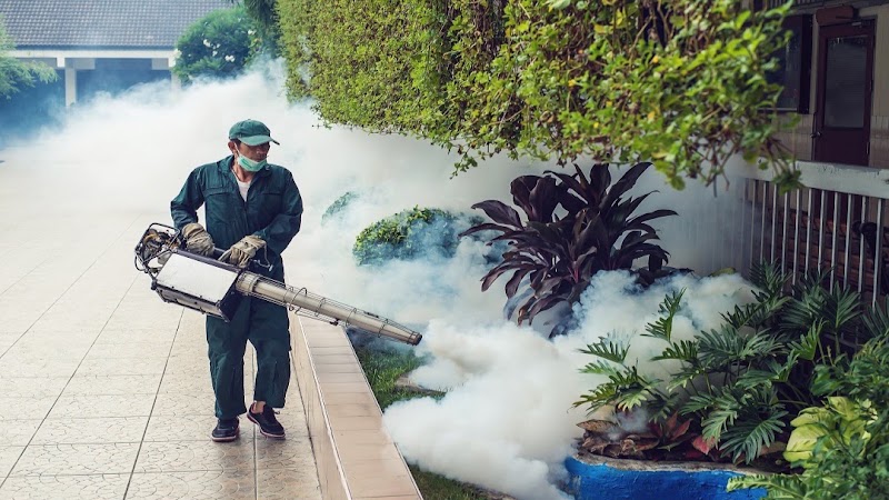 Bama Pest Control