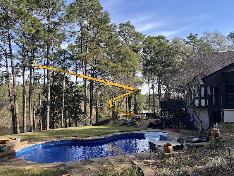 Battiste Tree Services