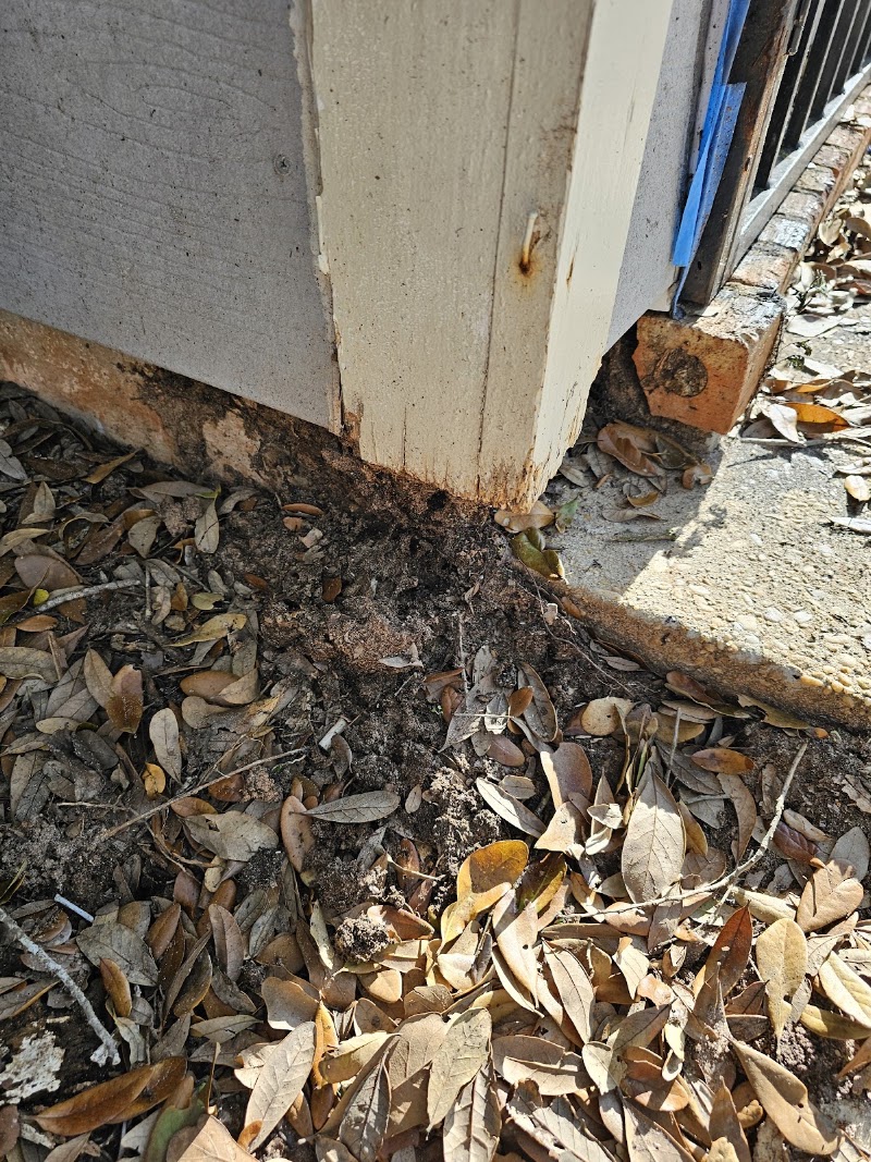 Terminator Pest Control