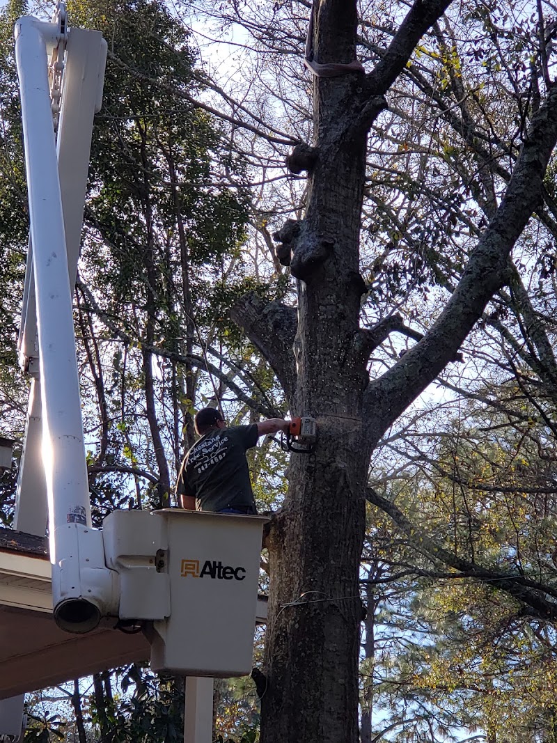 Chestang Tree Service