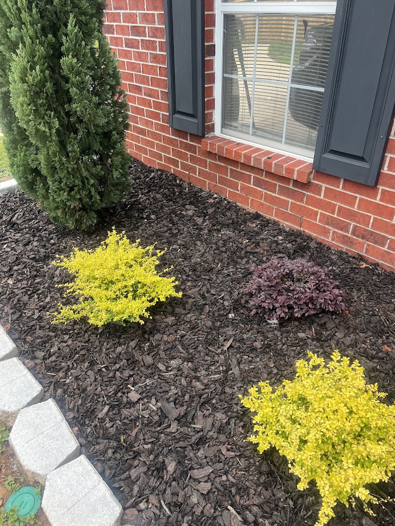 C&S Lawn Care LLC