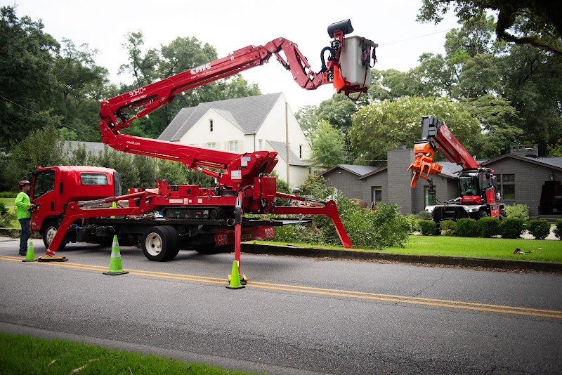 Finch’s Tree Service