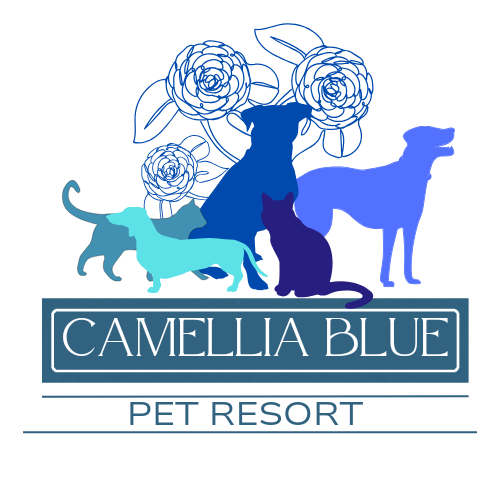 Camellia Blue Pet Resort