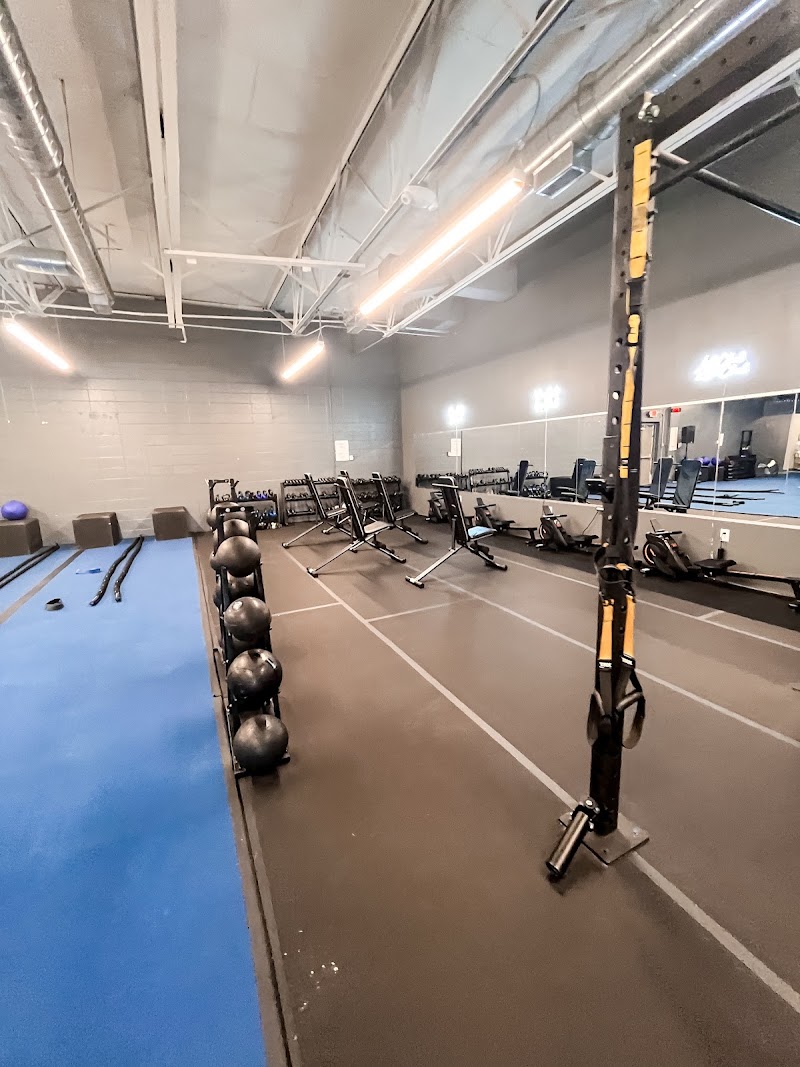 Tribe Fitness Mobile
