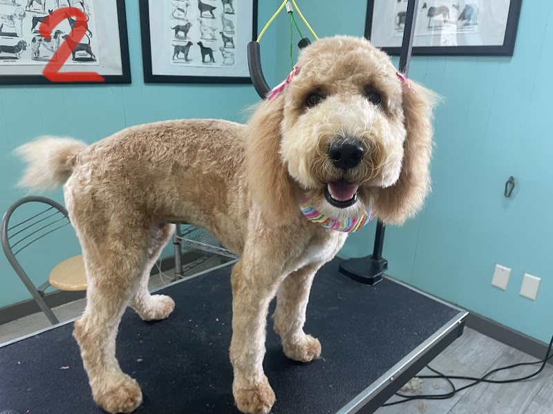 Lola Bell's Pet Facility
