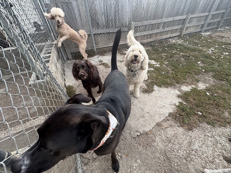 Lola Bell's Pet Facility