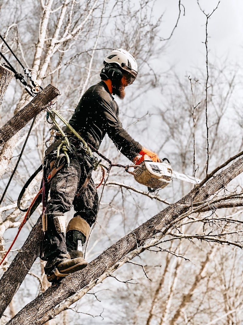 Coastal Tree Co.