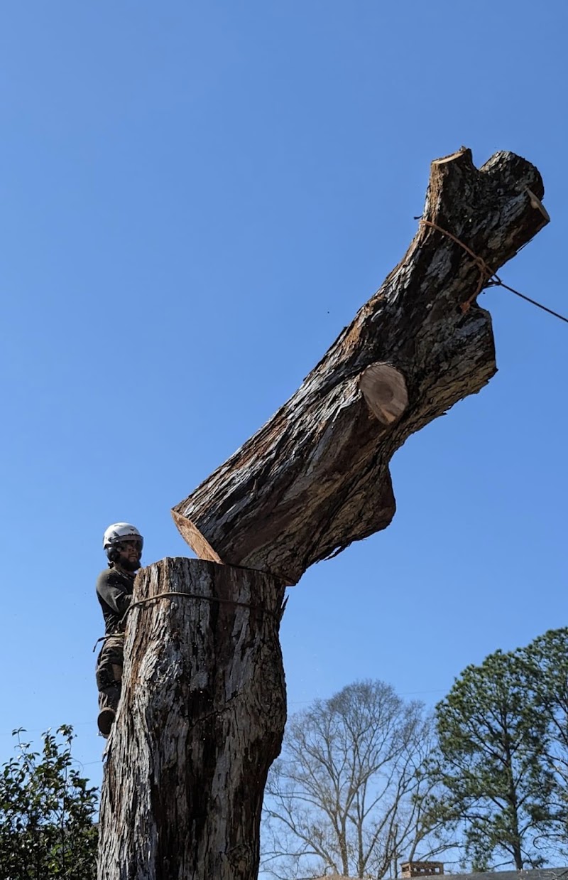 Coastal Tree Co.