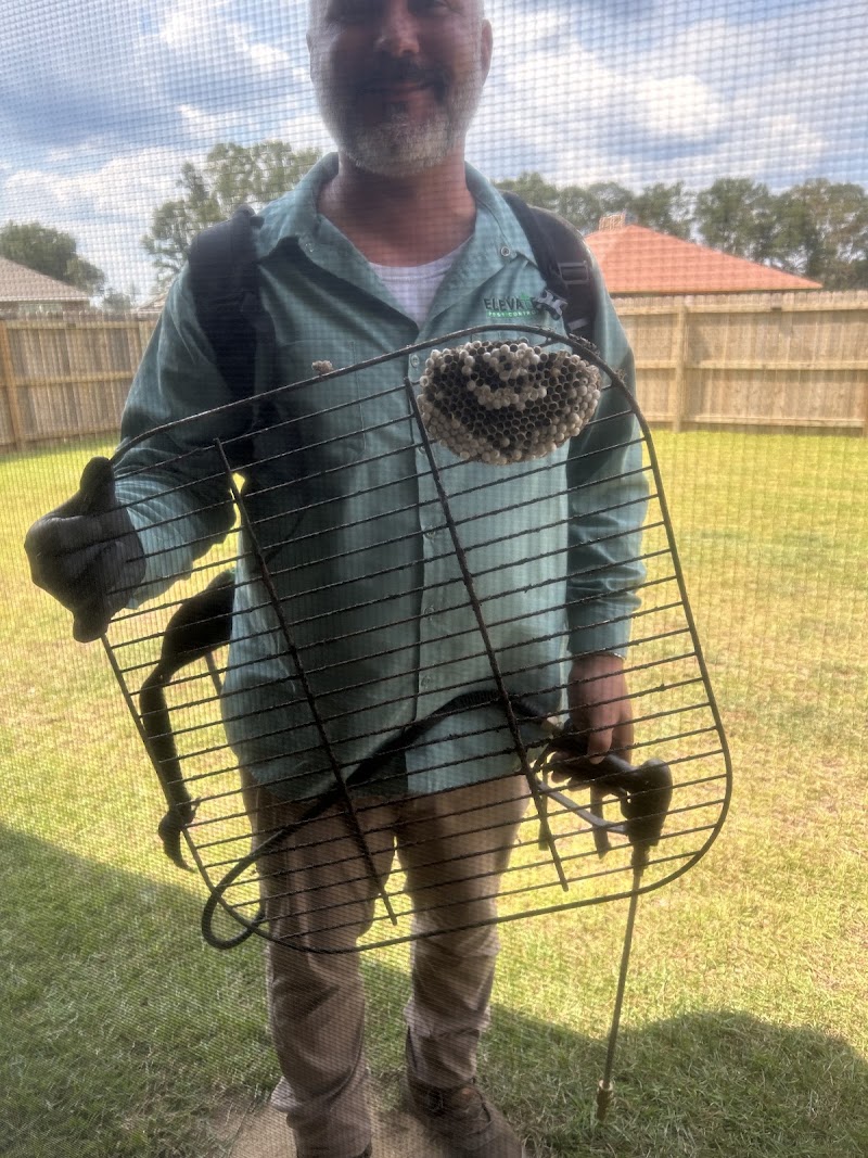Elevate Pest Control