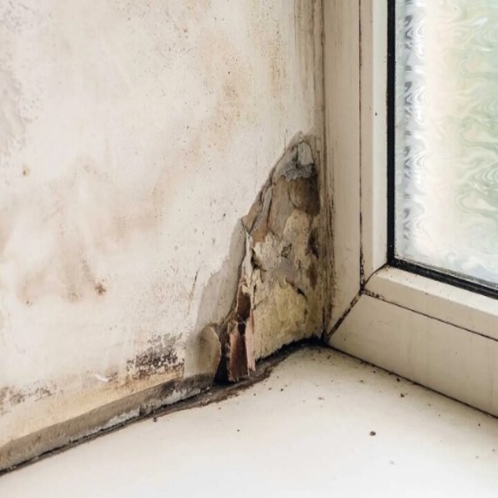 Priority Response and Restoration