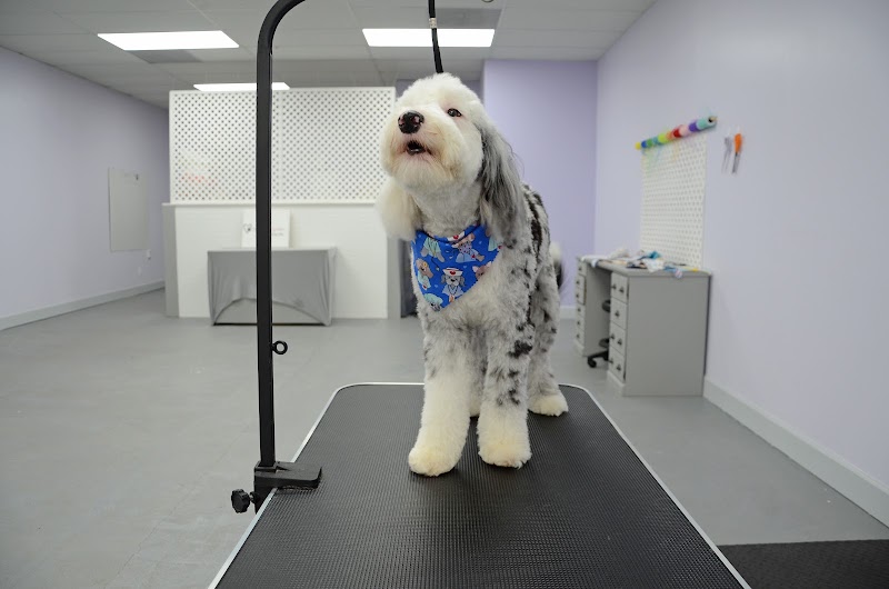 The Dogspaw Grooming Salon LLC