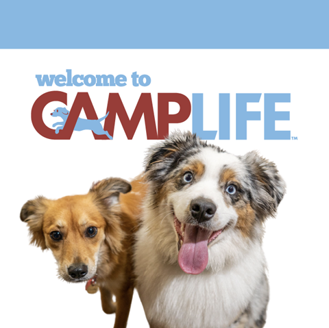 Camp Bow Wow West Mobile