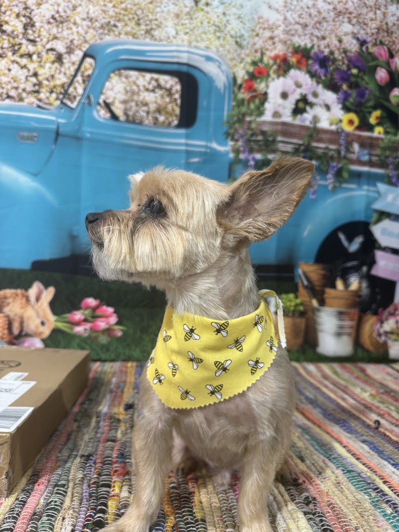 The Pampered Pup