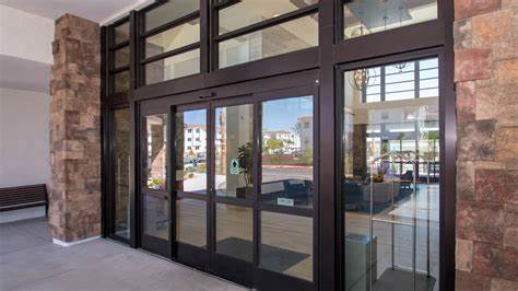 DSI SYSTEMS INC.