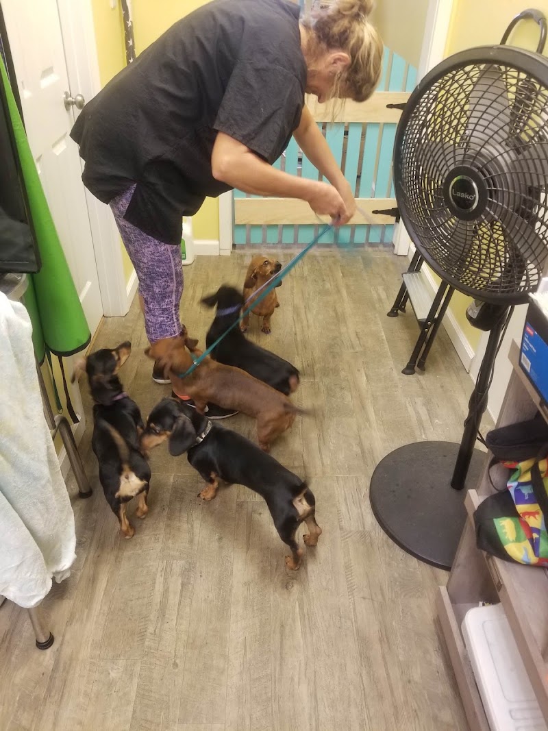 C & S Pet Grooming