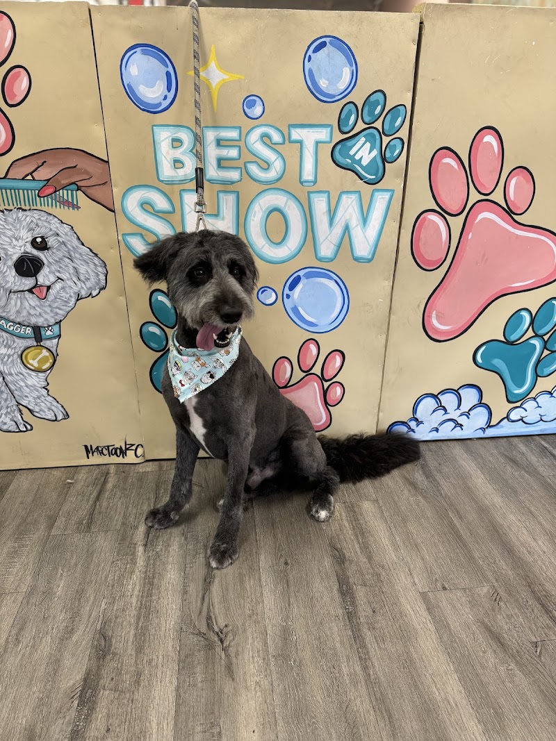 Best In Show Pet Spa & Wellness