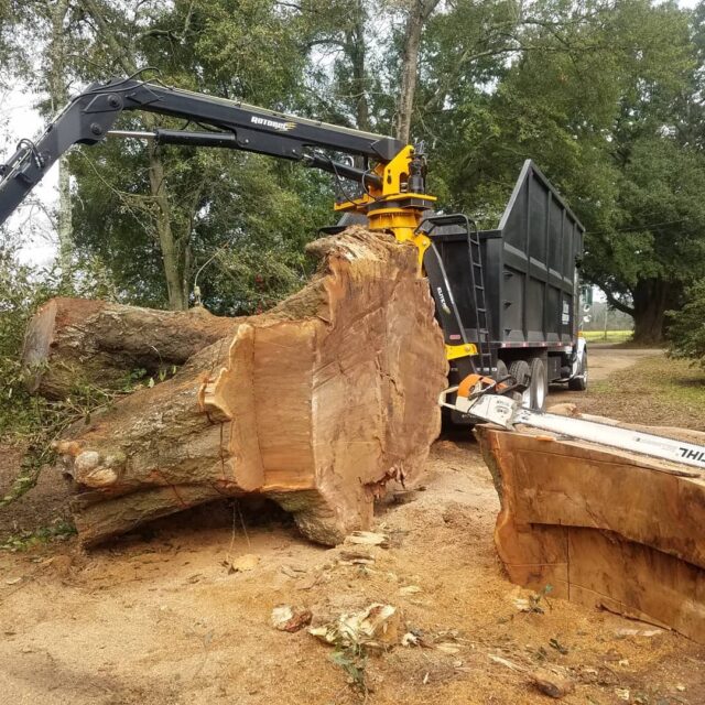 Ickes Tree Service Inc
